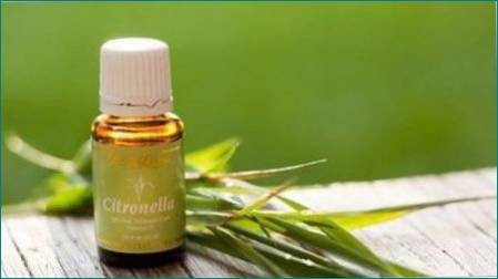 Citronella Oil: Egenskaber og applikationer