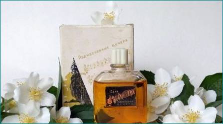 Kvindelige parfume med jasmin aroma