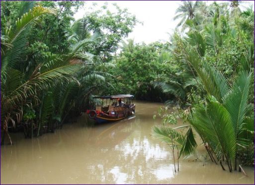 Mekong-deltaet